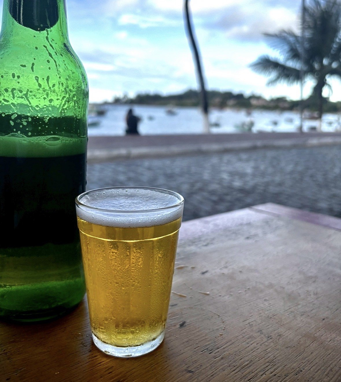 A cold beer and the bottle, the waterfront blurred behind.